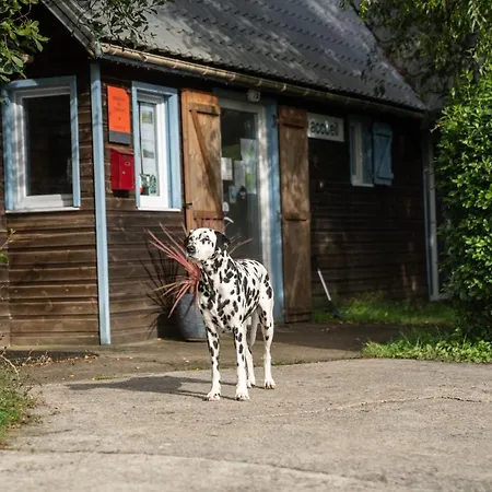 De 4 Mitoyen 2 2 Fecamp Etretat مكان تخييم
